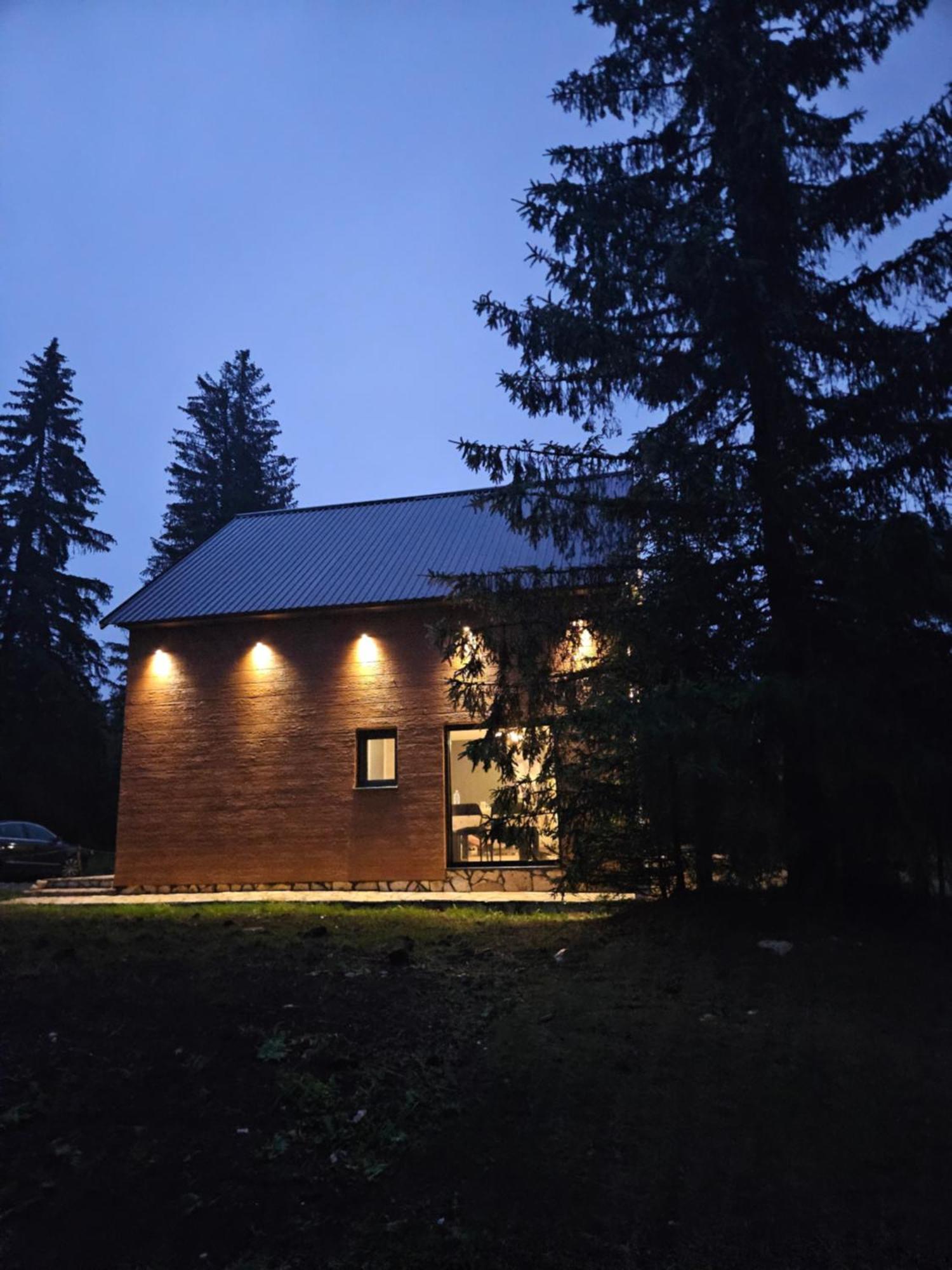 Forest Fox Apartment *