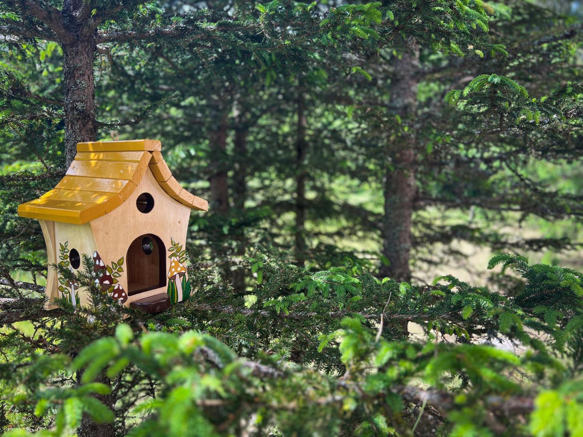 Apartment Forest Fox *